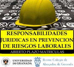 Responsabilidades Jurídicas en Prevencion de Riesgos Laborales